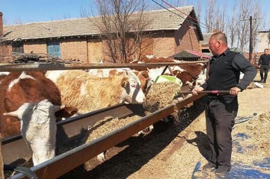 内蒙古通辽市:对标中国草原肉牛之都