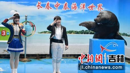 申思（中）和海狮在进行表演 张瑶/摄