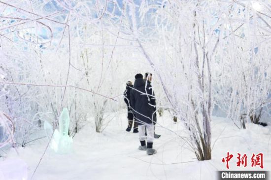 3月15日,吉林省吉林市,游人在北山四季越野滑雪场内的室内雾凇实验室里欣赏雾凇。 中新社记者 苍雁 摄 3月15日,吉林省吉林市,游人在北山四季越野滑雪场内的室内雾凇实验室里欣赏雾凇。 中新社记者 苍雁 摄