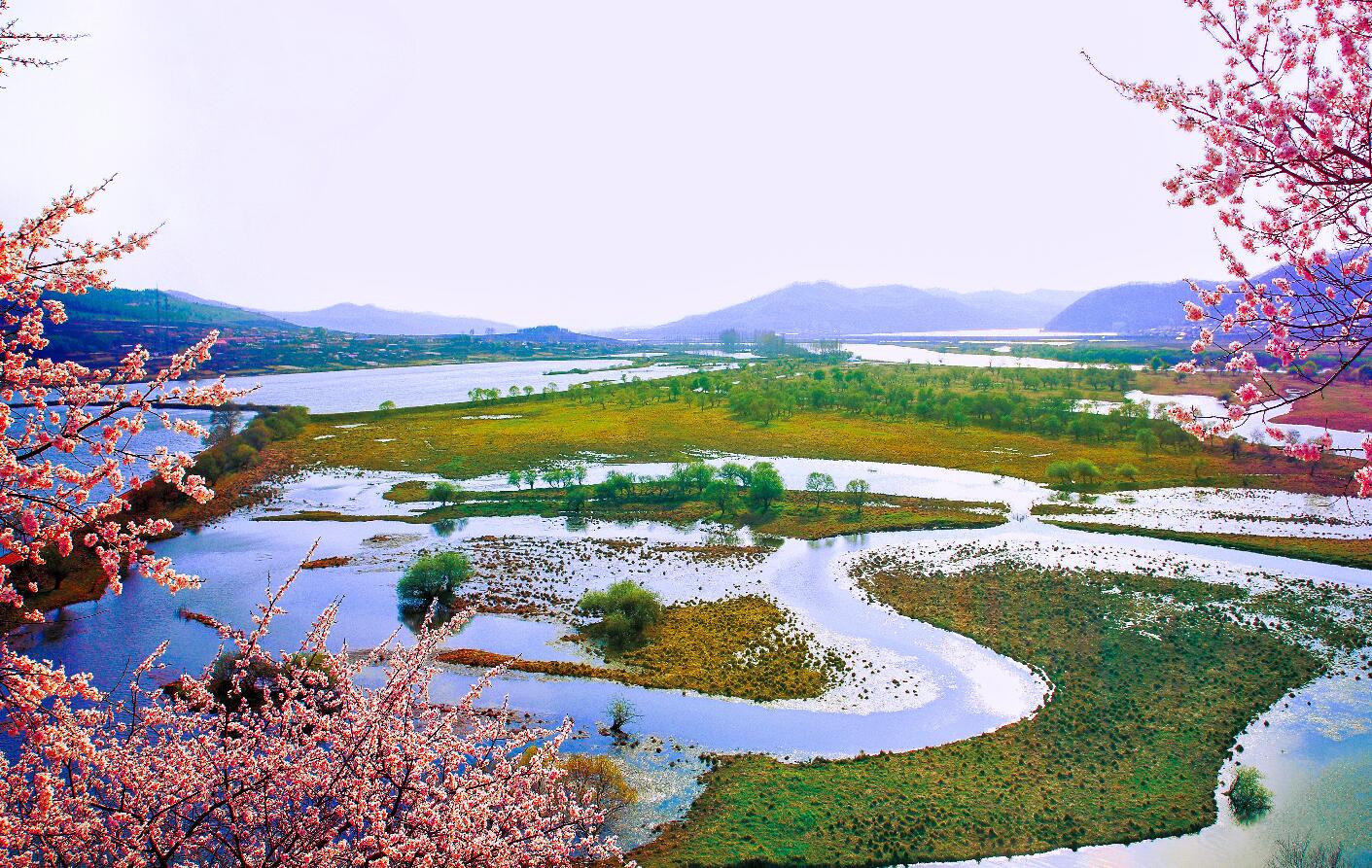 雁鸣湖湿地